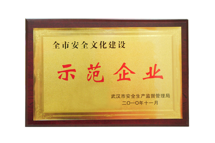 全市安全文化建設 示范企業(yè)