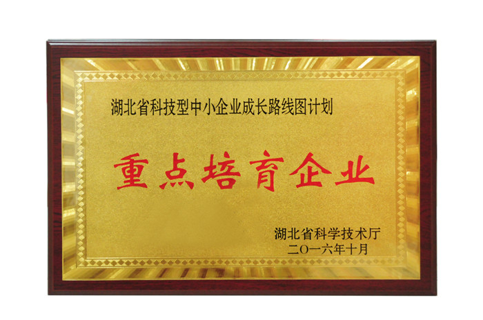 湖北省科技型中小企業(yè)成長(zhǎng)路線圖計(jì)劃 重點(diǎn)培育企業(yè)
